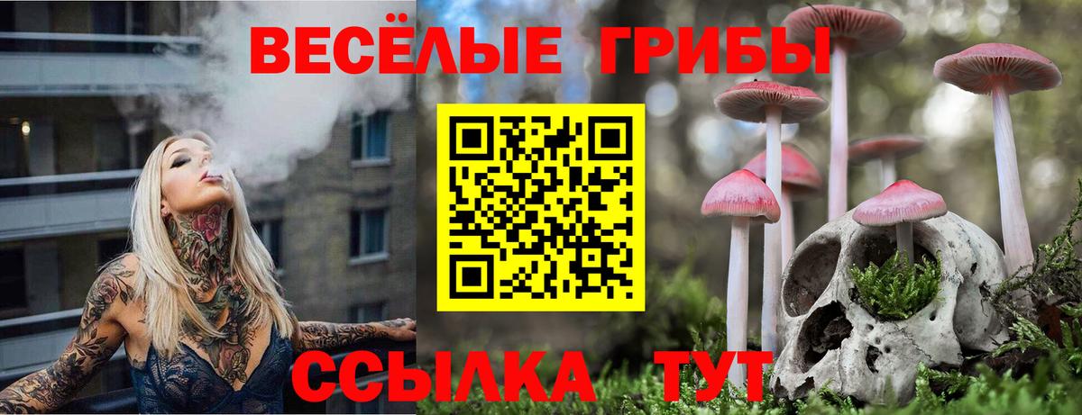 Калуга  Галлюциногенные грибы Magic Shrooms  Вход с VPN  Псилоцибиновые грибы ЛСД 