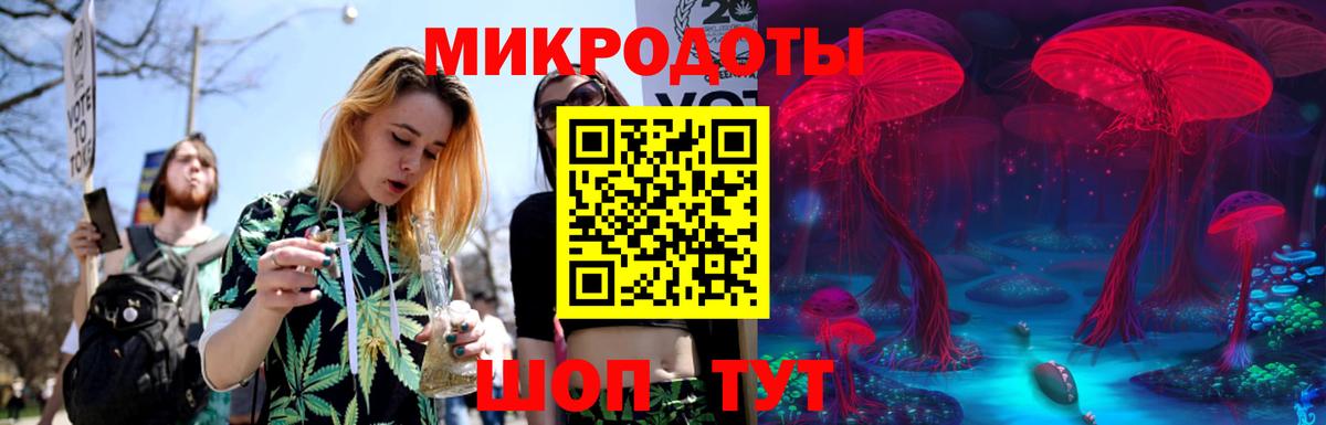 Псилоцибиновые грибы GOLDEN TEACHER Калуга